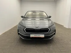 29519612