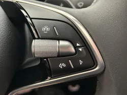 29538096