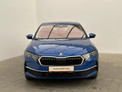 29616291