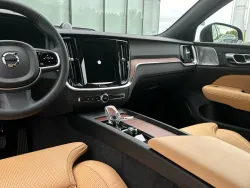 29628805