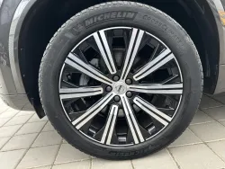 29874316