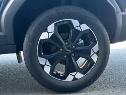 29931828