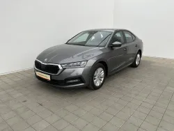 30558894