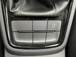 29406078