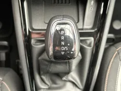 29534561