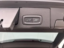 29491991
