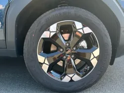 29931835