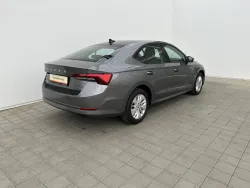 30558895