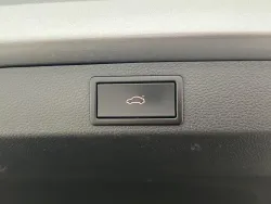 30637734