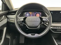 30754531