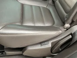 29525244