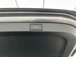 29652318