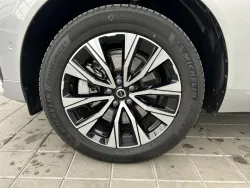 29491854