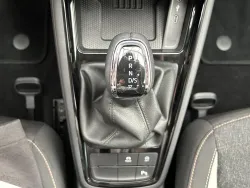 29856406