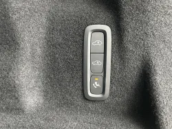 29538656