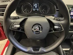 29833613