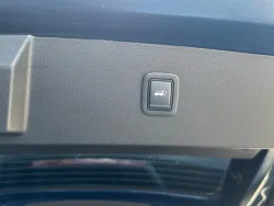 29931954