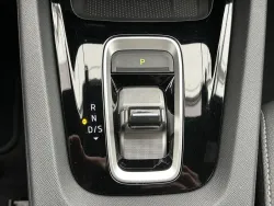 30481913