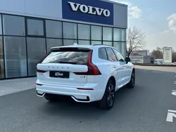 30737028