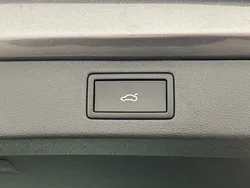 30884503