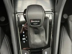 29538101