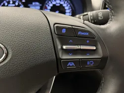 29629660