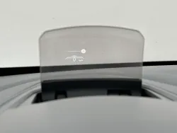 29525247