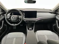29693892