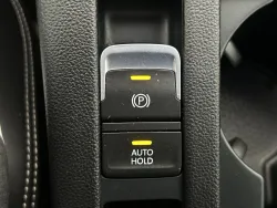 30553650
