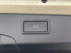 30567617