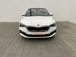 30836582
