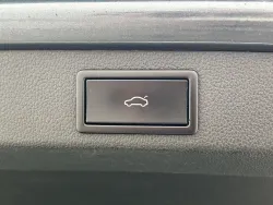29855612