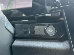 29934733