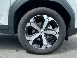29941198