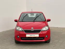 30524591