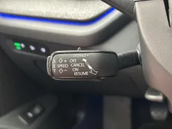 29616307