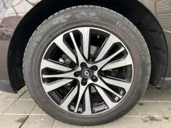 29525237