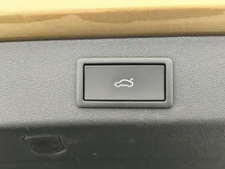 29803889