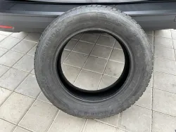 29845219