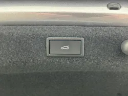 30542268