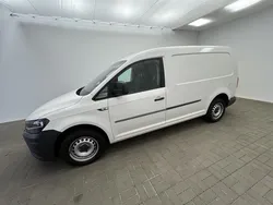 30767492