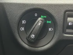 29406074