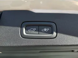 29484056