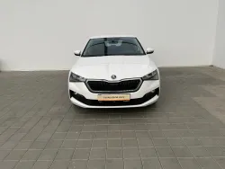 29512053