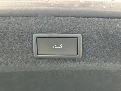 29615454