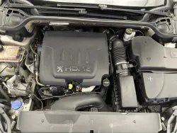 30542542