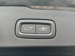 29628815