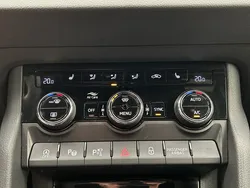 30833981