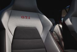 VW Golf GTI (10)