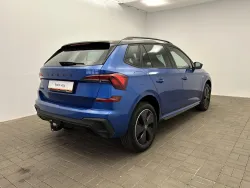 29369594